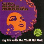 My Life With The Thrill Kill Kult : Gay, Black & Married